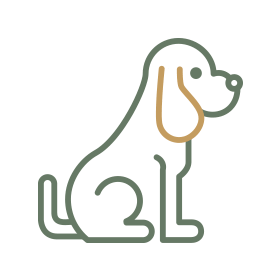 Icon Plus