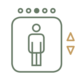 Icon Plus